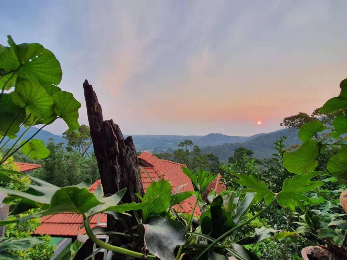 Villa Bao Sheng Durian Farm Balik Pulau Esterno foto